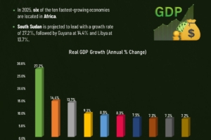 The Top 10 Fastest Growing Economies in The World 2025