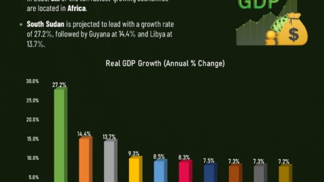 The Top 10 Fastest Growing Economies in The World 2025