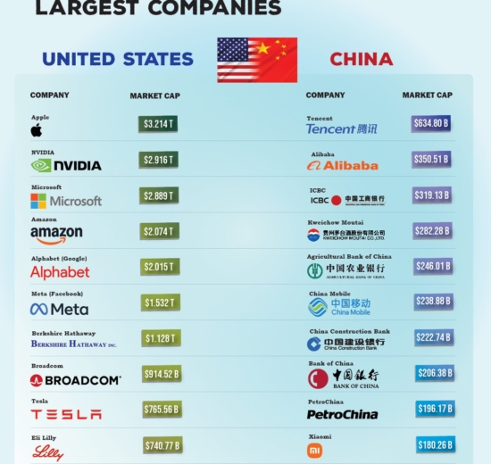 Top 10 Largest Companies in the U.S. and China by Market Cap