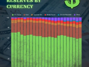 Share of Global Foreign Exchange Reserves by Currency And the US Dollar Dominance