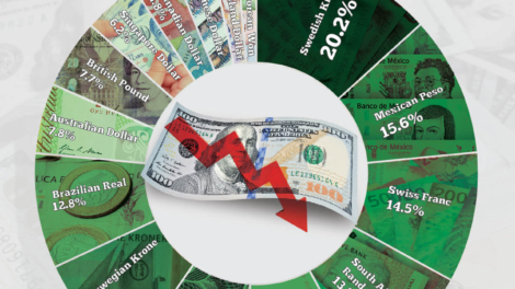 Top 16 Major Currencies That Appreciated Against the U.S. Dollar in 2025
